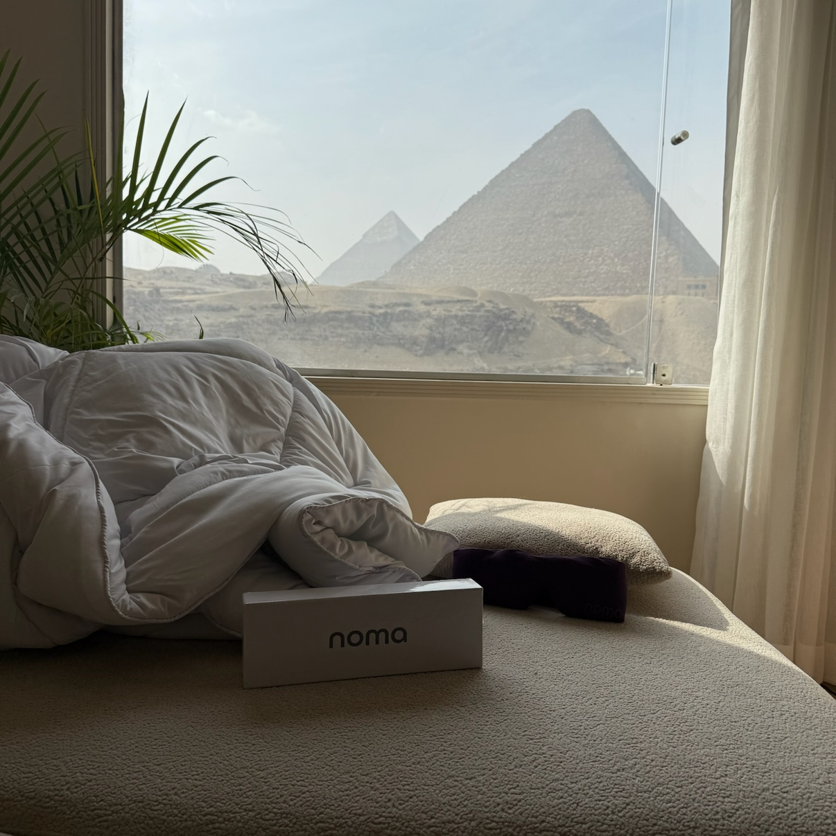 Pyramids visible through a window with a bed and plant in the foreground